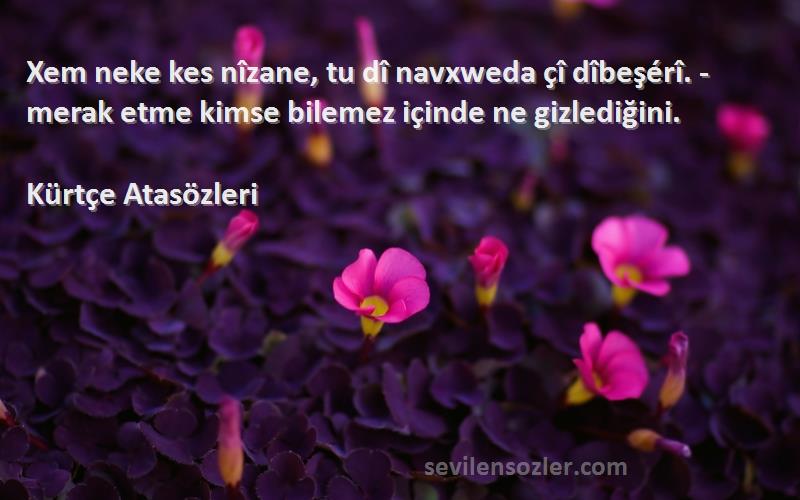 Kürtçe Atasözleri - Xem neke kes nîzane, tu dî navxweda çî dîbeşérî. - merak etme kimse bilemez içinde ne gizlediğini.