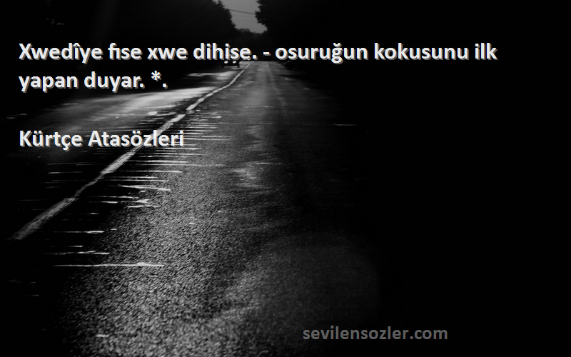 Kürtçe Atasözleri - Xwedîye fıse xwe dihise. - osuruğun kokusunu ilk yapan duyar. *.