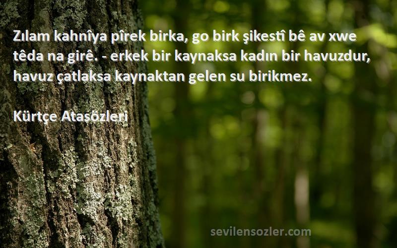 Kürtçe Atasözleri Sözleri 
Zılam kahnîya pîrek birka, go birk şikestî bê av xwe têda na girê. - erkek bir kaynaksa kadın bir havuzdur, havuz çatlaksa kaynaktan gelen su birikmez.