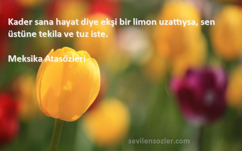 Meksika Atasözleri Sözleri 
Kader sana hayat diye ekşi bir limon uzattıysa, sen üstüne tekila ve tuz iste.