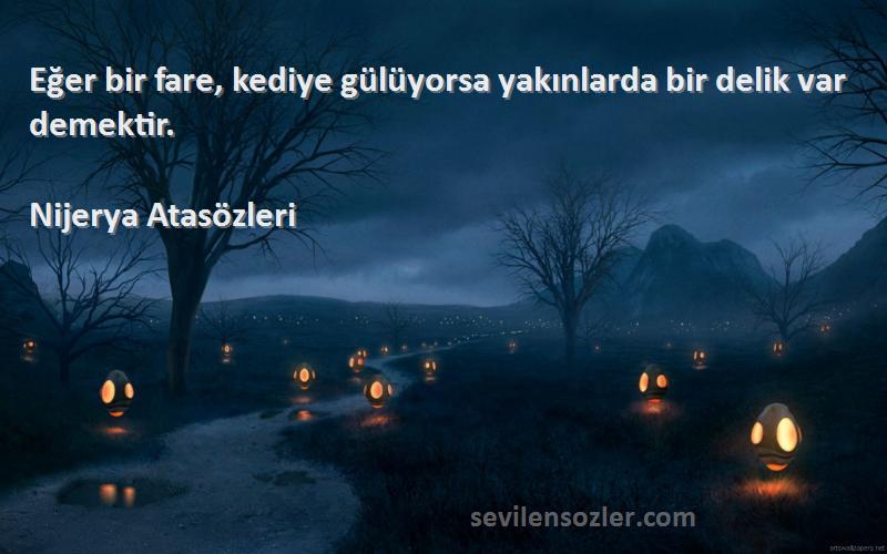 Nijerya Atasözleri - Eğer bir fare, kediye gülüyorsa yakınlarda bir delik var demektir.