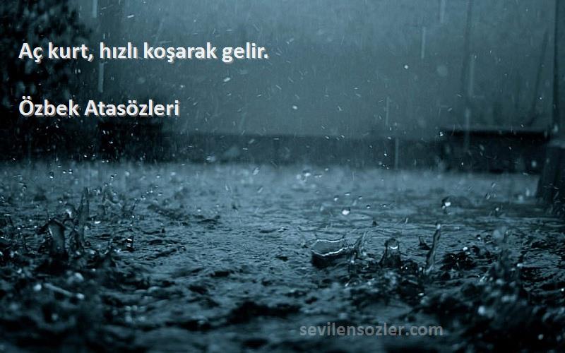 Özbek Atasözleri Sözleri 
Aç kurt, hızlı koşarak gelir.