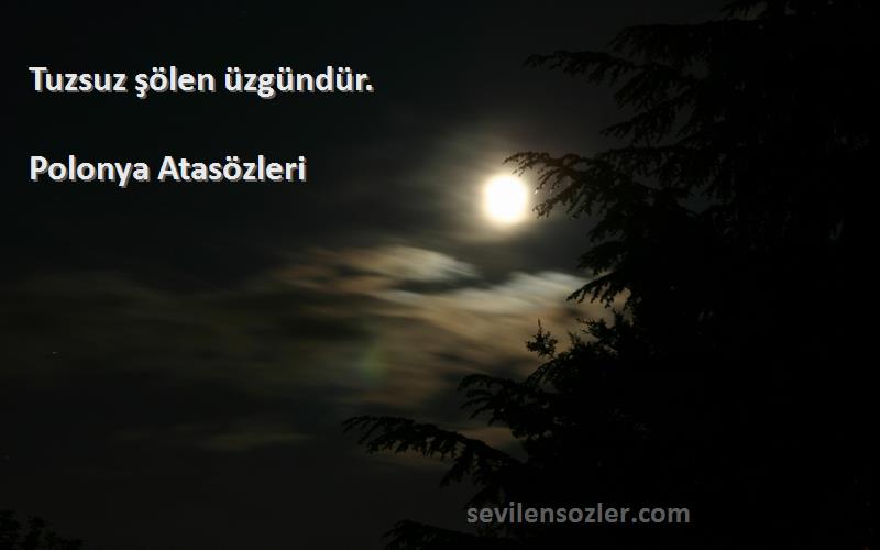 Polonya Atasözleri - Tuzsuz şölen üzgündür.