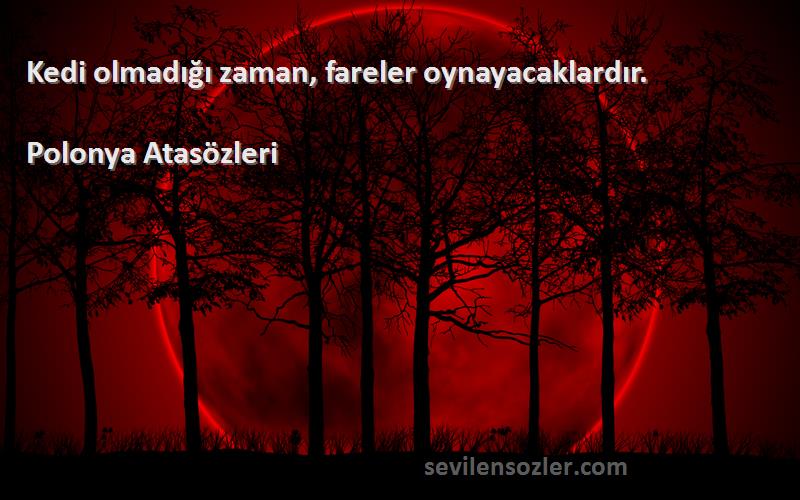 Polonya Atasözleri - Kedi olmadığı zaman, fareler oynayacaklardır.