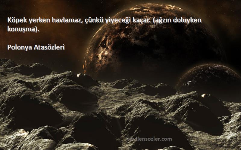 Polonya Atasözleri - Köpek yerken havlamaz, çünkü yiyeceği kaçar. (ağzın doluyken konuşma).