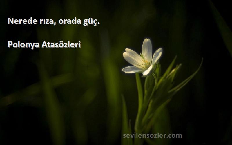 Polonya Atasözleri - Nerede rıza, orada güç.