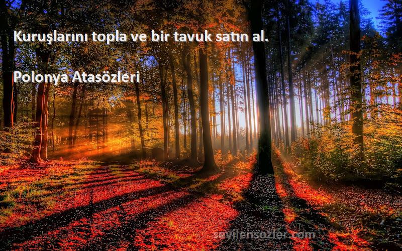 Polonya Atasözleri - Kuruşlarını topla ve bir tavuk satın al.