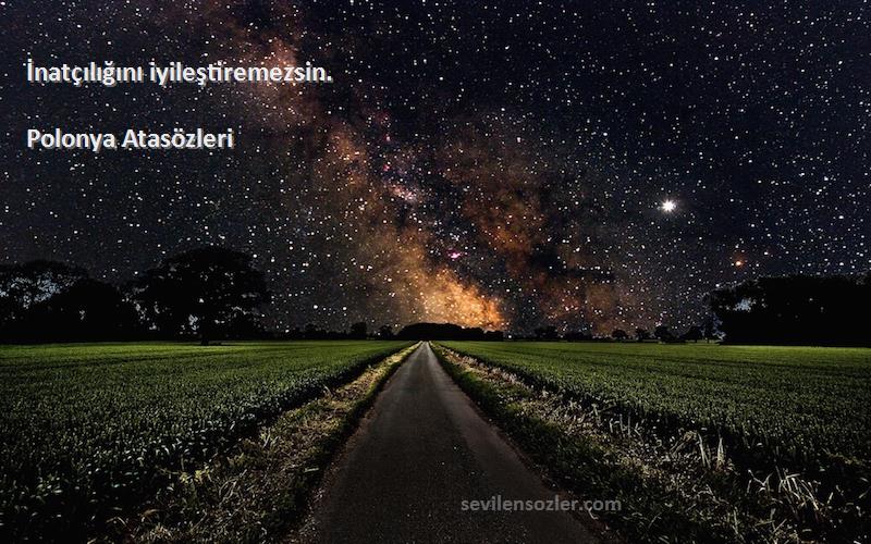 Polonya Atasözleri - İnatçılığını iyileştiremezsin.