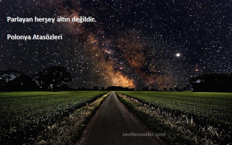 Polonya Atasözleri - Parlayan herşey altın değildir.