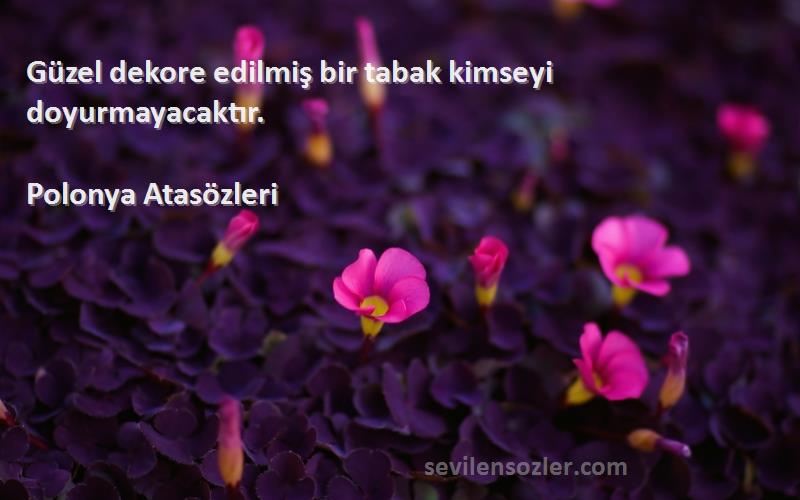 Polonya Atasözleri - Güzel dekore edilmiş bir tabak kimseyi doyurmayacaktır.