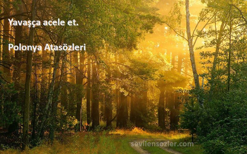 Polonya Atasözleri - Yavaşça acele et.