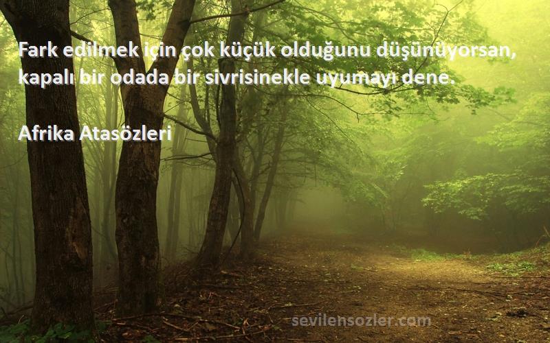 Afrika Atasözleri Sözleri 
Fark edilmek için çok küçük olduğunu düşünüyorsan, kapalı bir odada bir sivrisinekle uyumayı dene.