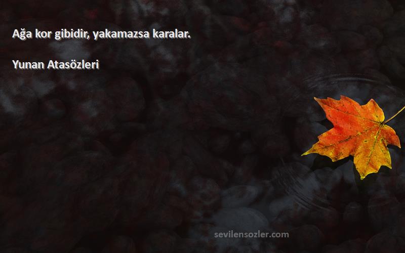 Yunan Atasözleri Sözleri 
Ağa kor gibidir, yakamazsa karalar.