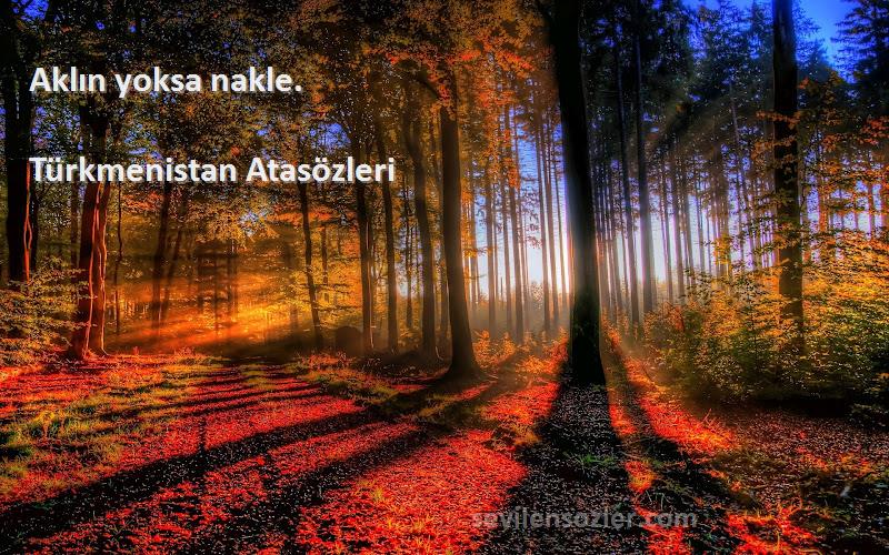 Türkmenistan Atasözleri - Aklın yoksa nakle.