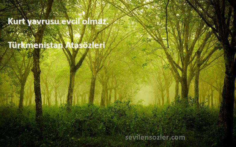 Türkmenistan Atasözleri - Kurt yavrusu evcil olmaz.