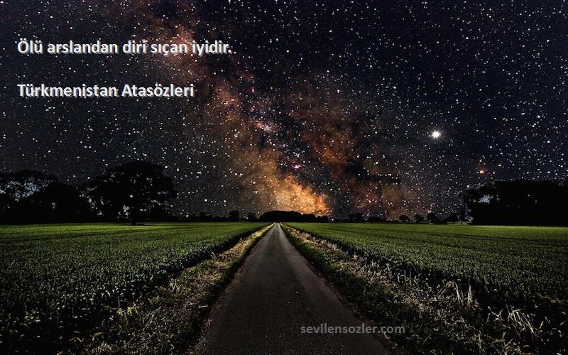 Türkmenistan Atasözleri - Ölü arslandan diri sıçan iyidir.