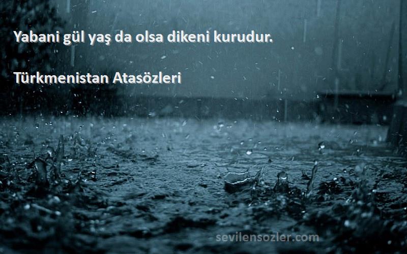 Türkmenistan Atasözleri - Yabani gül yaş da olsa dikeni kurudur.