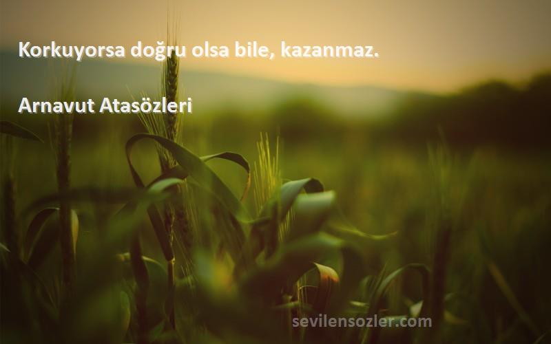 Arnavut Atasözleri - Korkuyorsa doğru olsa bile, kazanmaz.