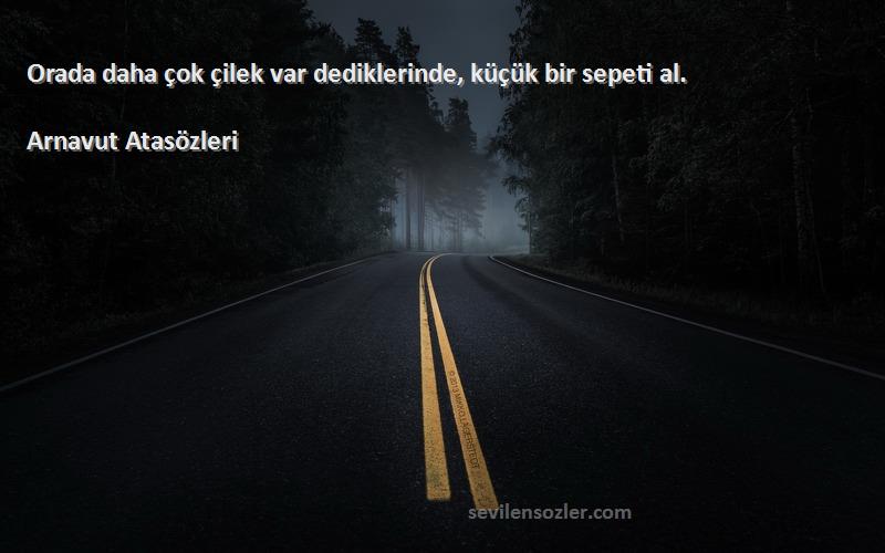 Arnavut Atasözleri - Orada daha çok çilek var dediklerinde, küçük bir sepeti al.