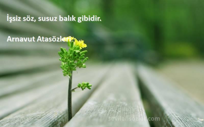 Arnavut Atasözleri - İşsiz söz, susuz balık gibidir.