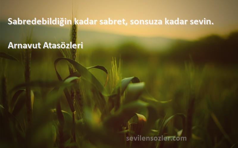 Arnavut Atasözleri - Sabredebildiğin kadar sabret, sonsuza kadar sevin.