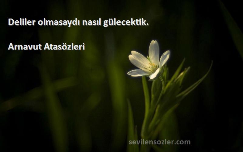 Arnavut Atasözleri - Deliler olmasaydı nasıl gülecektik.