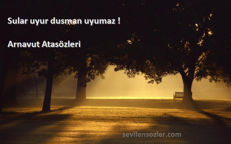 Arnavut Atasözleri - Sular uyur dusman uyumaz !