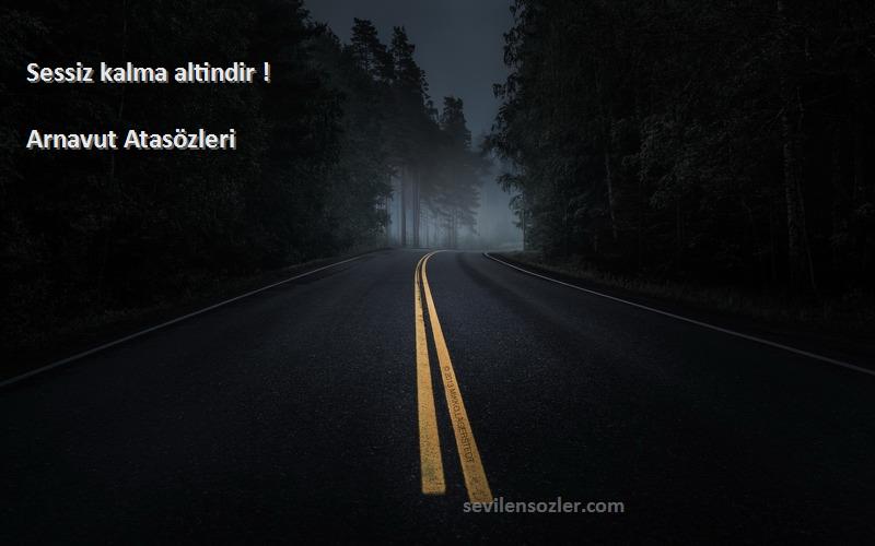 Arnavut Atasözleri - Sessiz kalma altindir !