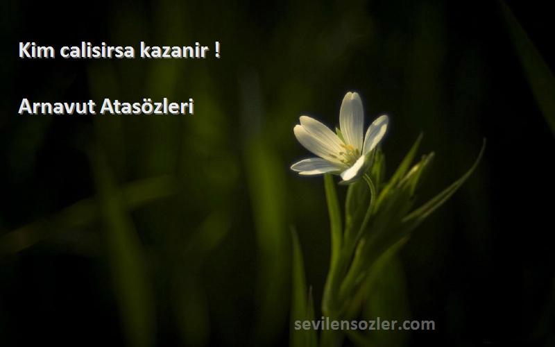 Arnavut Atasözleri - Kim calisirsa kazanir !