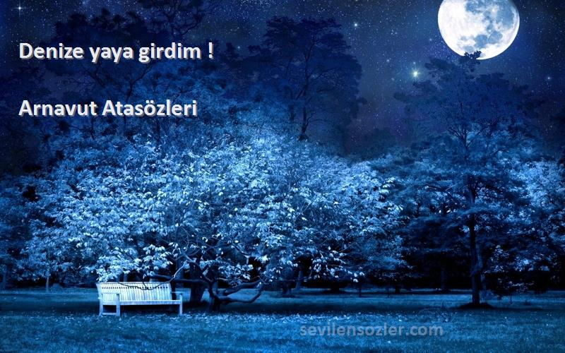 Arnavut Atasözleri - Denize yaya girdim !