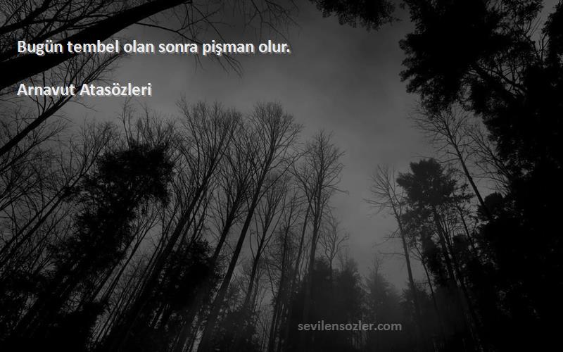 Arnavut Atasözleri - Bugün tembel olan sonra pişman olur.