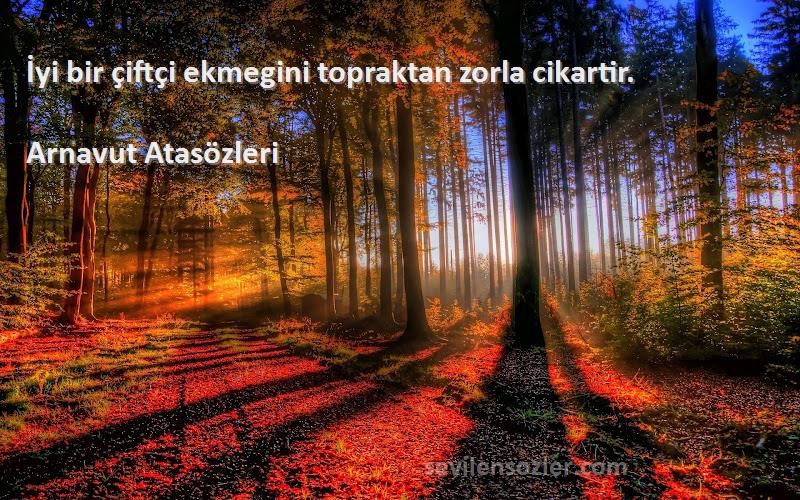 Arnavut Atasözleri - İyi bir çiftçi ekmegini topraktan zorla cikartir.