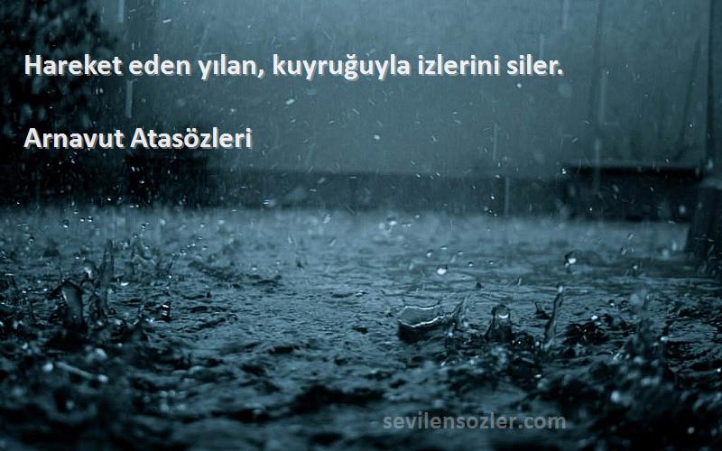 Arnavut Atasözleri - Hareket eden yılan, kuyruğuyla izlerini siler.