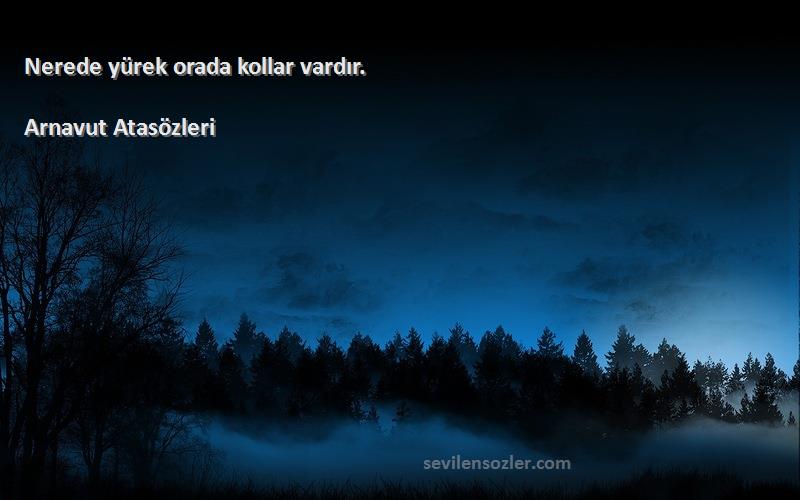 Arnavut Atasözleri - Nerede yürek orada kollar vardır.