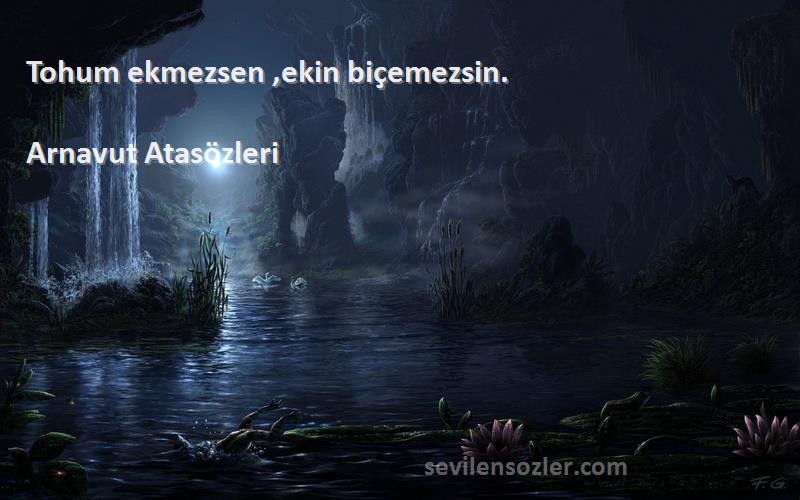 Arnavut Atasözleri Sözleri 
Tohum ekmezsen ,ekin biçemezsin.