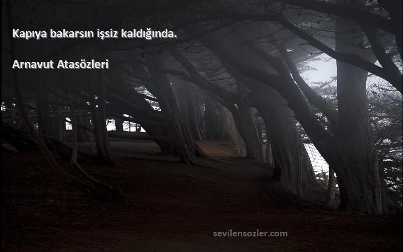 Arnavut Atasözleri - Kapıya bakarsın işsiz kaldığında.