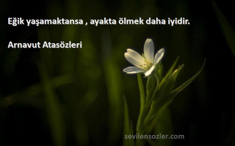 Arnavut Atasözleri - Eğik yaşamaktansa , ayakta ölmek daha iyidir.