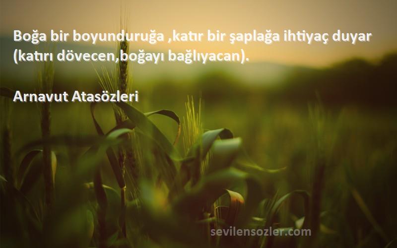 Arnavut Atasözleri - Boğa bir boyunduruğa ,katır bir şaplağa ihtiyaç duyar(katırı dövecen,boğayı bağlıyacan).