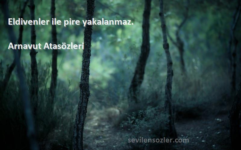 Arnavut Atasözleri - Eldivenler ile pire yakalanmaz.