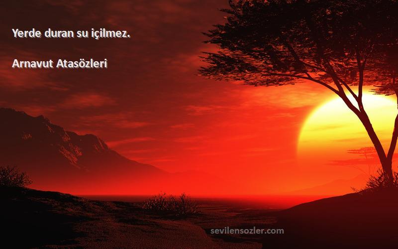 Arnavut Atasözleri - Yerde duran su içilmez.