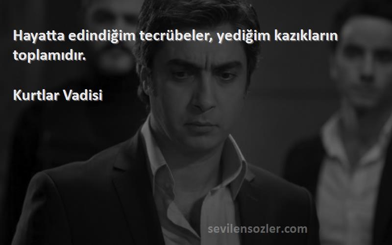 Kurtlar Vadisi - Hayatta edindiğim tecrübeler, yediğim kazıkların toplamıdır.