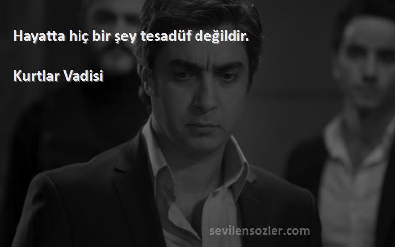 Kurtlar Vadisi - Hayatta hiç bir şey tesadüf değildir.