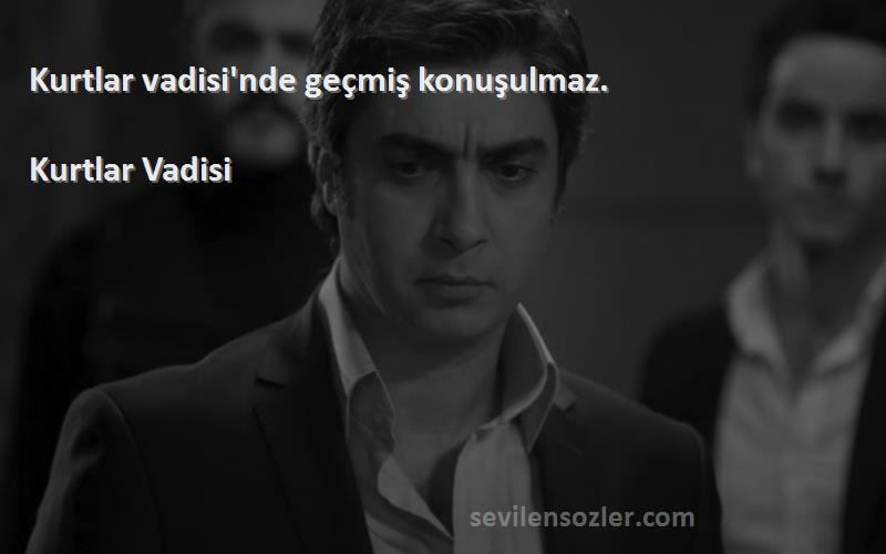 Kurtlar Vadisi - Kurtlar vadisi'nde geçmiş konuşulmaz.