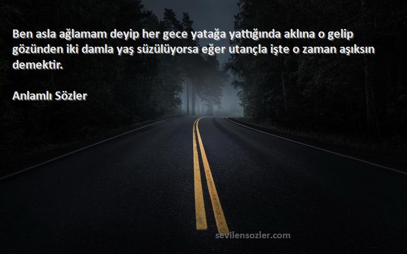 Anlamlı Sözler Sözleri 
Ben asla ağlamam deyip her gece yatağa yattığında aklına o gelip gözünden iki damla yaş süzülüyorsa eğer utançla işte o zaman aşıksın demektir.