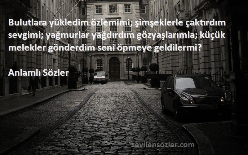 Anlamlı Sözler Sözleri 
Bulutlara yükledim özlemimi; şimşeklerle çaktırdım sevgimi; yağmurlar yağdırdım gözyaşlarımla; küçük melekler gönderdim seni öpmeye geldilermi?