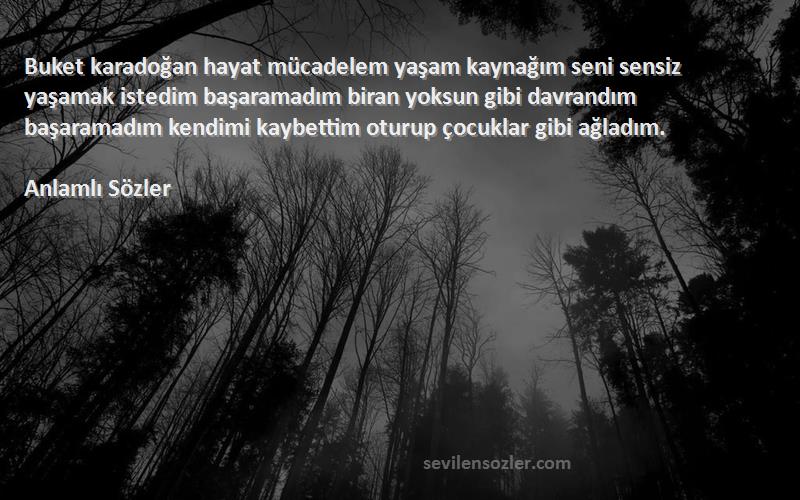 Anlamlı Sözler Sözleri 
Buket karadoğan hayat mücadelem yaşam kaynağım seni sensiz yaşamak istedim başaramadım biran yoksun gibi davrandım başaramadım kendimi kaybettim oturup çocuklar gibi ağladım.