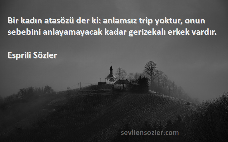 Esprili Sözler Sözleri 
Bir kadın atasözü der ki: anlamsız trip yoktur, onun sebebini anlayamayacak kadar gerizekalı erkek vardır.