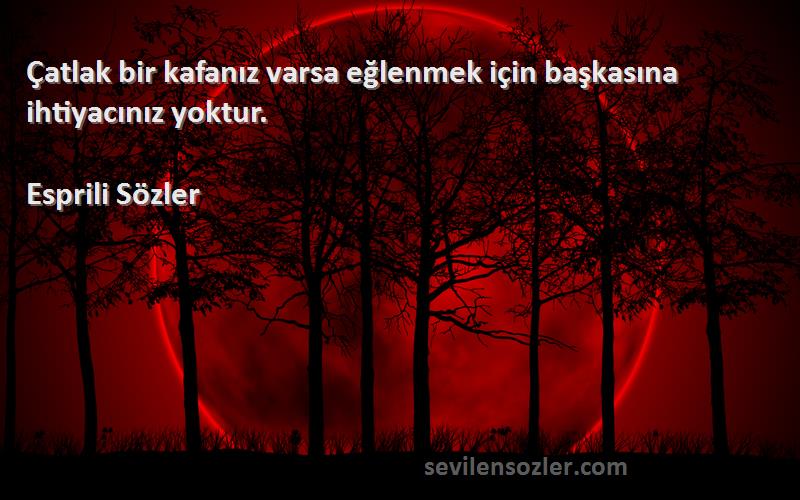 Esprili Sözler - Çatlak bir kafanız varsa eğlenmek için başkasına ihtiyacınız yoktur.