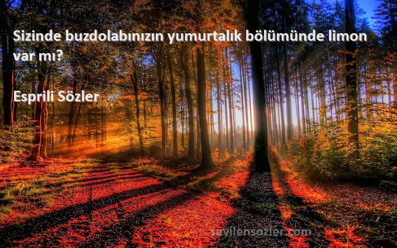 Esprili Sözler - Sizinde buzdolabınızın yumurtalık bölümünde limon var mı?