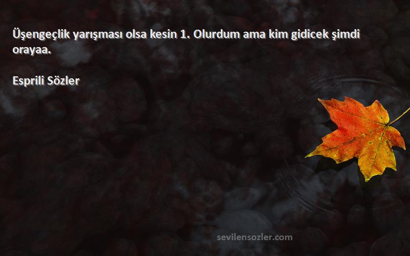 Esprili Sözler - Üşengeçlik yarışması olsa kesin 1. Olurdum ama kim gidicek şimdi orayaa.